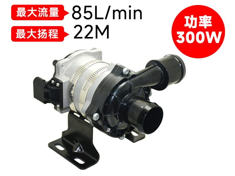 P7509汽車(chē)電子泵(300W)